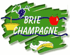 Vers le site de la Brie Champenoise