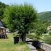48 Lozère - St Léger de Peyre 1 - 2012
