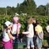 nos coins de verdure